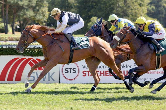 Equestrian sports, horse racing, race day in Krefeld