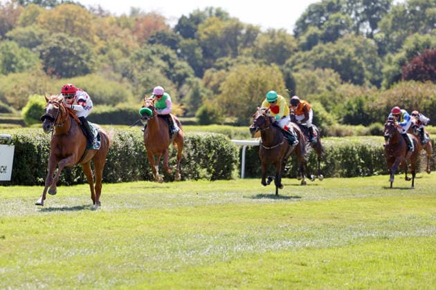 08.08.2026, Krefeld, Nordrhein-Westfalen, GER - Darwinist mit Sibylle Vogt gewinnt. Galopprennbahn Krefeld-Stadtwald. (Pferd, Jockey, Darwinist, Vogt, Sieg, Ziel, Zielankunft) 260808SG929KREFELD.JPG *** August 8, 2026, Krefeld, North Rhine-Westphalia, GER Darwinist with Sibylle Vogt wins at the Krefeld Stadtwald Racetrack Horse, jockey, Darwinist, Vogt, victory, finish line, finish 260808SG929KREFELD JPG