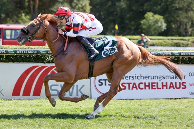 08.08.2026, Krefeld, Nordrhein-Westfalen, GER - Darwinist mit Sibylle Vogt gewinnt. Galopprennbahn Krefeld-Stadtwald. (Pferd, Jockey, Darwinist, Vogt, Sieg, Ziel, Zielankunft) 260808SG931KREFELD.JPG *** August 8, 2026, Krefeld, North Rhine-Westphalia, GER Darwinist with Sibylle Vogt wins at the Krefeld Stadtwald Racetrack Horse, jockey, Darwinist, Vogt, victory, finish line, finish 260808SG931KREFELD JPG