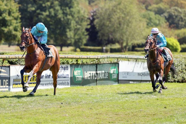 08.08.2026, Krefeld, Nordrhein-Westfalen, GER - Why Limit mit Enzo Crublet gewinnt. Galopprennbahn Krefeld-Stadtwald. (Pferd, Jockey, Why Limit, Crublet, Sieg, Ziel, Zielankunft) 260808SG943KREFELD.JPG *** August 8, 2026, Krefeld, North Rhine-Westphalia, GER Why Limit, ridden by Enzo Crublet, wins at the Krefeld Stadtwald Racetrack Horse, jockey, Why Limit, Crublet, victory, finish line, finish 260808SG943KREFELD JPG