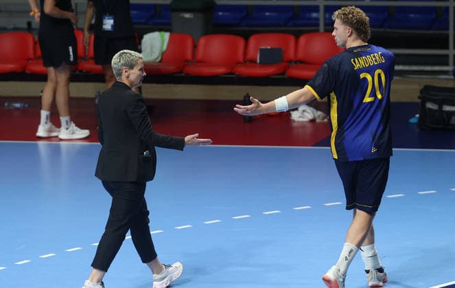 09.08.2026 Belgrade Sweden-Serbia European U18 men s handball championship final tournament match for 13-16 place Vanja Antic(L) local organiser EHF handball referee after suspension says to going outside of field Daniel Sandberg(R) Sweden :