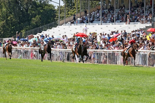 09.08.2026, Hoppegarten, Brandenburg, GER - Pershing mit Sibylle Vogt gewinnt. Galopprennbahn Hoppegarten. () 260809D700HOPPEGARTEN.JPG *** August 9, 2026, Hoppegarten, Brandenburg, GER Pershing, ridden by Sibylle Vogt, wins at the Hoppegarten Racetrack 260809D700HOPPEGARTEN JPG
