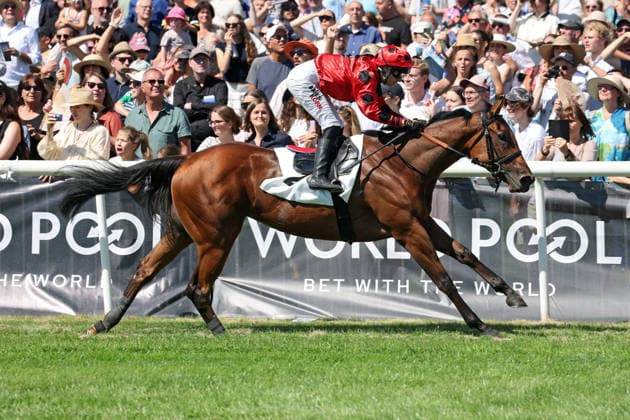 Equestrian sports, race day at the Dresden-Seidnitz racecourse