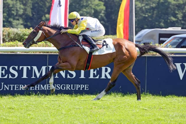 Equestrian sports, race day at Hoppegarten Racecourse