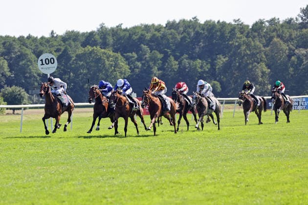 09.08.2026, Hoppegarten, Brandenburg, GER - Tiffany mit Luke Morris gewinnt den 136. Grossen Preis von Berlin. Galopprennbahn Hoppegarten. () 260809D717HOPPEGARTEN.JPG *** August 9, 2026, Hoppegarten, Brandenburg, GER Tiffany, ridden by Luke Morris, wins the 136th Berlin Grand Prix at the Hoppegarten Racetrack 260809D717HOPPEGARTEN JPG