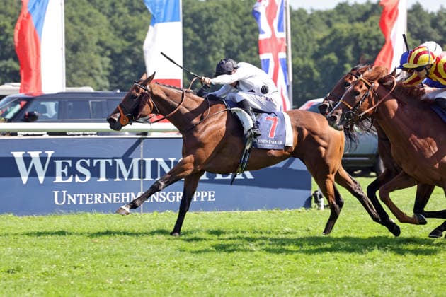 09.08.2026, Hoppegarten, Brandenburg, GER - Tiffany mit Luke Morris gewinnt den 136. Grossen Preis von Berlin. Galopprennbahn Hoppegarten. () 260809D717HOPPEGARTEN.JPG *** August 9, 2026, Hoppegarten, Brandenburg, GER Tiffany, ridden by Luke Morris, wins the 136th Berlin Grand Prix at the Hoppegarten Racetrack 260809D717HOPPEGARTEN JPG