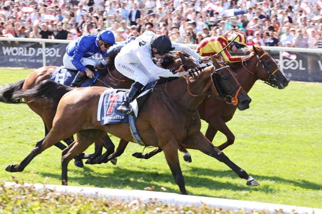 09.08.2026, Hoppegarten, Brandenburg, GER - Tiffany mit Luke Morris gewinnt den 136. Grossen Preis von Berlin. Galopprennbahn Hoppegarten. () 260809D717HOPPEGARTEN.JPG *** August 9, 2026, Hoppegarten, Brandenburg, GER Tiffany, ridden by Luke Morris, wins the 136th Berlin Grand Prix at the Hoppegarten Racetrack 260809D717HOPPEGARTEN JPG