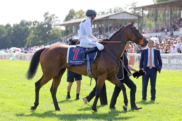 09.08.2026, Hoppegarten, Brandenburg, GER - Tiffany mit Luke Morris nach dem Sieg im 136. Grossen Preis von Berlin. Galopprennbahn Hoppegarten. () 260809D727HOPPEGARTEN.JPG *** August 9, 2026, Hoppegarten, Brandenburg, GER Tiffany with Luke Morris after winning the 136th Berlin Grand Prix at the Hoppegarten Racetrack 260809D727HOPPEGARTEN JPG