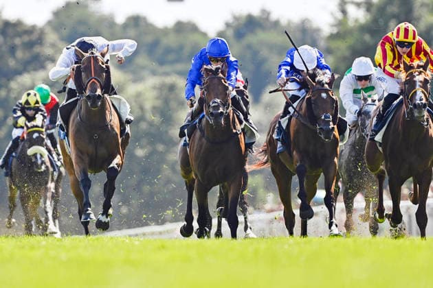 09.08.2026, Hoppegarten, Brandenburg, GER - Tiffany (links) mit Luke Morris gewinnt den 136. Grossen Preis von Berlin. Galopprennbahn Hoppegarten. () 260809C492HOPPEGARTEN.JPG *** August 9, 2026, Hoppegarten, Brandenburg, GER Tiffany (on the left) with Luke Morris wins the 136th Berlin Grand Prix at the Hoppegarten Racetrack 260809C492HOPPEGARTEN JPG