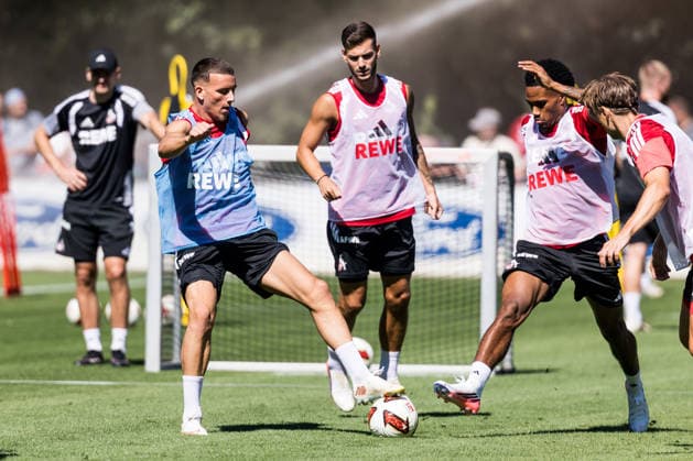 Football, Bundesliga 1, 1. FC Köln, Training