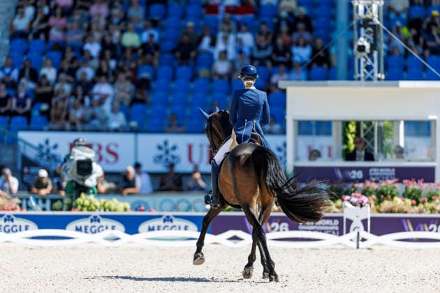 AACHEN - FEI World Championships 2026, AACHEN - FEI World Championships 2026 PEARCE Simone (AUS), Will Marq FEI Dressage World Championship, WM, Weltmeisterschaft Grand Prix de Dressage 1st Part Team Finale & Einzelqualifikation Lambertz-Preis Aachen, Reitstadion Soers 11. August 2026 - *** 2026 FEI World Championships in Aachen, Aachen FEI World Championships 2026: Simone Pearce (AUS), Will Marq – FEI Dressage World Championship Grand Prix de Dressage, Part 1: Team Final, Individual Qualification, Lambertz Prize Aachen, Soers Equestrian Stadium, August 11, 2026