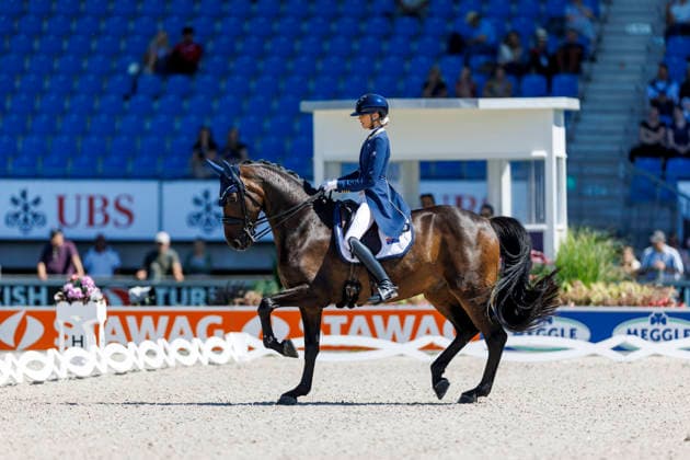 AACHEN - FEI World Championships 2026, AACHEN - FEI World Championships 2026 PEARCE Simone (AUS), Will Marq FEI Dressage World Championship, WM, Weltmeisterschaft Grand Prix de Dressage 1st Part Team Finale & Einzelqualifikation Lambertz-Preis Aachen, Reitstadion Soers 11. August 2026 - *** 2026 FEI World Championships in Aachen, Aachen FEI World Championships 2026: Simone Pearce (AUS), Will Marq – FEI Dressage World Championship Grand Prix de Dressage, Part 1: Team Final, Individual Qualification, Lambertz Prize Aachen, Soers Equestrian Stadium, August 11, 2026