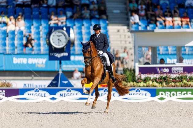 AACHEN - FEI World Championships 2026, AACHEN - FEI World Championships 2026 MENDOZA LOOR Julio (ECU), Jewel s Goldstrike FEI Dressage World Championship, WM, Weltmeisterschaft Grand Prix de Dressage 1st Part Team Finale & Einzelqualifikation Lambertz-Preis Aachen, Reitstadion Soers 11. August 2026 - *** 2026 FEI World Championships in Aachen, AACHEN FEI World Championships 2026 MENDOZA LOOR Julio ECU, Jewel’s Goldstrike FEI Dressage World Championship Grand Prix de Dressage, Part 1: Team Final, Individual Qualification, Lambertz Prize Aachen, Soers Equestrian Stadium, August 11, 2026