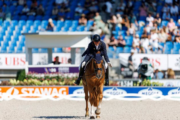 AACHEN - FEI World Championships 2026, AACHEN - FEI World Championships 2026 MENDOZA LOOR Julio (ECU), Jewel s Goldstrike FEI Dressage World Championship, WM, Weltmeisterschaft Grand Prix de Dressage 1st Part Team Finale & Einzelqualifikation Lambertz-Preis Aachen, Reitstadion Soers 11. August 2026 - *** 2026 FEI World Championships in Aachen, AACHEN FEI World Championships 2026 MENDOZA LOOR Julio ECU, Jewel’s Goldstrike FEI Dressage World Championship Grand Prix de Dressage, Part 1: Team Final, Individual Qualification, Lambertz Prize Aachen, Soers Equestrian Stadium, August 11, 2026