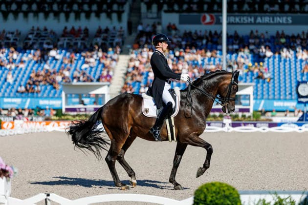 AACHEN - FEI World Championships 2026, AACHEN - FEI World Championships 2026 WANDRES Frederic (GER), Bluetooth Old FEI Dressage World Championship, WM, Weltmeisterschaft Grand Prix de Dressage 1st Part Team Finale & Einzelqualifikation Lambertz-Preis Aachen, Reitstadion Soers 11. August 2026 - *** 2026 FEI World Championships in Aachen, AACHEN FEI World Championships 2026: Frederic WANDRES (GER) on Bluetooth Old – FEI Dressage World Championship Grand Prix de Dressage, Part 1: Team Final, Individual Qualifier, Lambertz Prize Aachen, Soers Equestrian Stadium, August 11, 2026