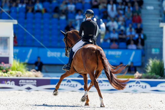 AACHEN - FEI World Championships 2026, AACHEN - FEI World Championships 2026 HEMMER Katharina (GER), Denoix PCH FEI Dressage World Championship, WM, Weltmeisterschaft Grand Prix de Dressage Team Finale & Einzelqualifikation Lambertz-Preis Aachen, Reitstadion Soers 12. August 2026 - *** AACHEN FEI World Championships 2026, AACHEN FEI World Championships 2026 Katharina Hemmer (GER), Denoix (PCH) FEI Dressage World Championship Grand Prix de Dressage Team Final Individual Qualifier Lambertz Prize Aachen, Soers Equestrian Stadium, August 12, 2026