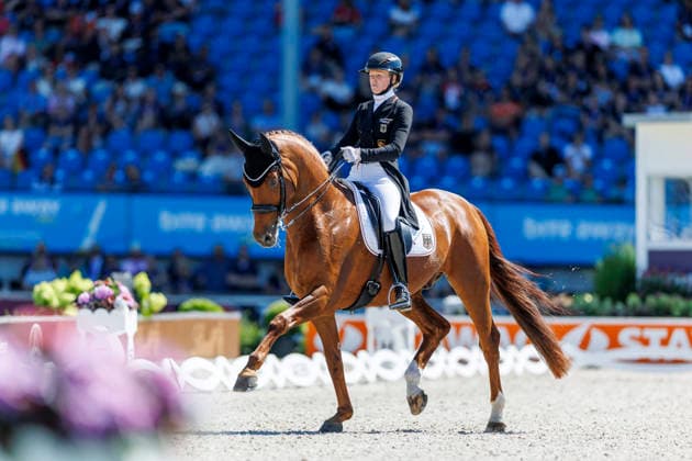 AACHEN - FEI World Championships 2026, AACHEN - FEI World Championships 2026 HEMMER Katharina (GER), Denoix PCH FEI Dressage World Championship, WM, Weltmeisterschaft Grand Prix de Dressage Team Finale & Einzelqualifikation Lambertz-Preis Aachen, Reitstadion Soers 12. August 2026 - *** AACHEN FEI World Championships 2026, AACHEN FEI World Championships 2026 Katharina Hemmer (GER), Denoix (PCH) FEI Dressage World Championship Grand Prix de Dressage Team Final Individual Qualifier Lambertz Prize Aachen, Soers Equestrian Stadium, August 12, 2026