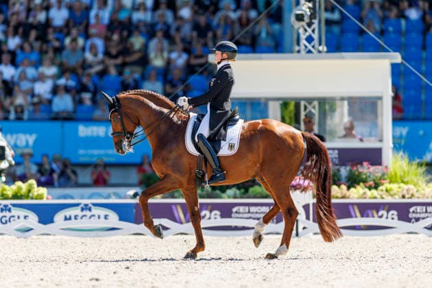 AACHEN - FEI World Championships 2026, AACHEN - FEI World Championships 2026 HEMMER Katharina (GER), Denoix PCH FEI Dressage World Championship, WM, Weltmeisterschaft Grand Prix de Dressage Team Finale & Einzelqualifikation Lambertz-Preis Aachen, Reitstadion Soers 12. August 2026 - *** AACHEN FEI World Championships 2026, AACHEN FEI World Championships 2026 Katharina Hemmer (GER), Denoix (PCH) FEI Dressage World Championship Grand Prix de Dressage Team Final Individual Qualifier Lambertz Prize Aachen, Soers Equestrian Stadium, August 12, 2026