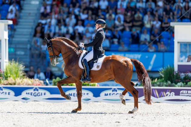 AACHEN - FEI World Championships 2026, AACHEN - FEI World Championships 2026 HEMMER Katharina (GER), Denoix PCH FEI Dressage World Championship, WM, Weltmeisterschaft Grand Prix de Dressage Team Finale & Einzelqualifikation Lambertz-Preis Aachen, Reitstadion Soers 12. August 2026 - *** AACHEN FEI World Championships 2026, AACHEN FEI World Championships 2026 Katharina Hemmer (GER), Denoix (PCH) FEI Dressage World Championship Grand Prix de Dressage Team Final Individual Qualifier Lambertz Prize Aachen, Soers Equestrian Stadium, August 12, 2026