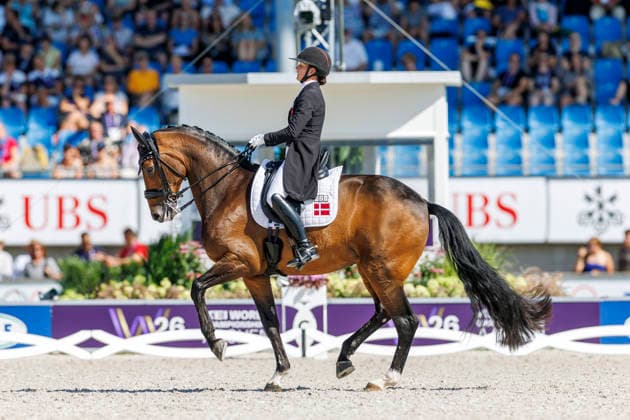 AACHEN - FEI World Championships 2026, AACHEN - FEI World Championships 2026 LAUDRUP-DUFOUR Cathrine (DEN), Mount St John Freestyle FEI Dressage World Championship, WM, Weltmeisterschaft Grand Prix de Dressage Team Finale & Einzelqualifikation Lambertz-Preis Aachen, Reitstadion Soers 12. August 2026 - *** 2026 FEI World Championships in Aachen, Aachen FEI World Championships 2026, Cathrine Laudrup Dufour (DEN), Mount St. John, Freestyle, FEI Dressage World Championship, Grand Prix de Dressage, Team Final, Individual Qualification, Lambertz Prize Aachen, Soers Equestrian Stadium, August 12, 2026