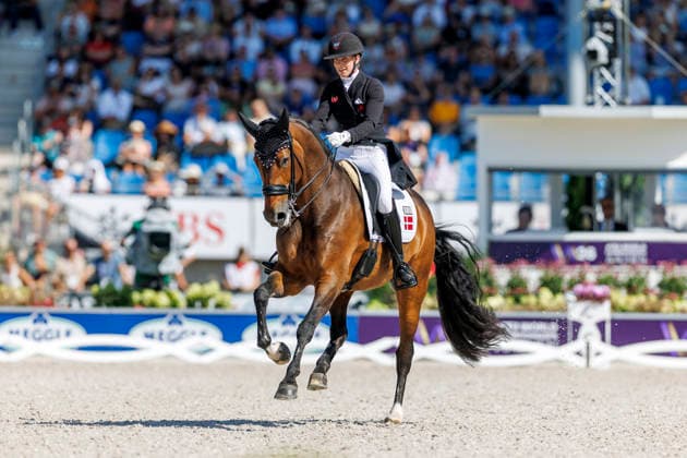 AACHEN - FEI World Championships 2026, AACHEN - FEI World Championships 2026 LAUDRUP-DUFOUR Cathrine (DEN), Mount St John Freestyle FEI Dressage World Championship, WM, Weltmeisterschaft Grand Prix de Dressage Team Finale & Einzelqualifikation Lambertz-Preis Aachen, Reitstadion Soers 12. August 2026 - *** 2026 FEI World Championships in Aachen, Aachen FEI World Championships 2026, Cathrine Laudrup Dufour (DEN), Mount St. John, Freestyle, FEI Dressage World Championship, Grand Prix de Dressage, Team Final, Individual Qualification, Lambertz Prize Aachen, Soers Equestrian Stadium, August 12, 2026