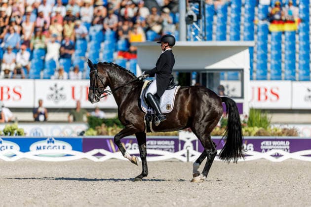 AACHEN - FEI World Championships 2026, AACHEN - FEI World Championships 2026 WERTH Isabell (GER), Wendy de Fontaine FEI Dressage World Championship, WM, Weltmeisterschaft Grand Prix de Dressage Team Finale & Einzelqualifikation Lambertz-Preis Aachen, Reitstadion Soers 12. August 2026 - *** AACHEN FEI World Championships 2026, AACHEN FEI World Championships 2026: Isabell Werth (GER) and Wendy de Fontaine – FEI Dressage World Championship Grand Prix de Dressage Team Final Individual Qualifier, Lambertz Prize Aachen, Soers Equestrian Stadium, August 12, 2026