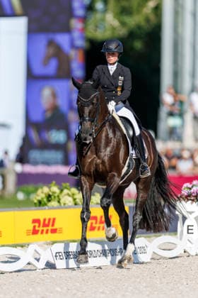 AACHEN - FEI World Championships 2026, AACHEN - FEI World Championships 2026 WERTH Isabell (GER), Wendy de Fontaine FEI Dressage World Championship, WM, Weltmeisterschaft Grand Prix de Dressage Team Finale & Einzelqualifikation Lambertz-Preis Aachen, Reitstadion Soers 12. August 2026 - *** AACHEN FEI World Championships 2026, AACHEN FEI World Championships 2026: Isabell Werth (GER) and Wendy de Fontaine – FEI Dressage World Championship Grand Prix de Dressage Team Final Individual Qualifier, Lambertz Prize Aachen, Soers Equestrian Stadium, August 12, 2026