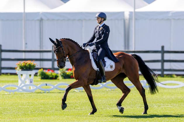 Equestrian sports, World Championships in Aachen, dressage