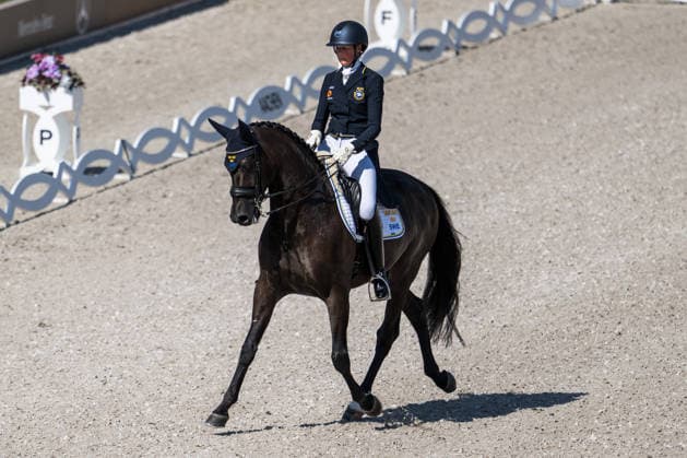 260814 Maria von Essen of Sweden with horse Invoice compete in the Dressage Grand Prix Special during day 4 of the 2026 FEI World Championships on August 14, 2026 in Aachen. Photo: Emma Wallskog BILDBYRAN kod EW EW0682 ridsport equestrian rid-vm 2026 2026 fei world championships bbeng ridsport-vm dressage dressyr sweden sverige *** August 14, 2026: Maria von Essen of Sweden, riding Invoice, competes in the Dressage Grand Prix Special on Day 4 of the 2026 FEI World Championships on August 14, 2026 in Aachen. Photo by Emma Wallskog, BILDBYRAN, code EW EW0682. equestrian sports, 2026 World Championships, 2026 FEI World Championships, BBENG, equestrian sports, World Championships, dressage, Sweden  Copyright: EMMAxWALLSKOG BB260814EW030