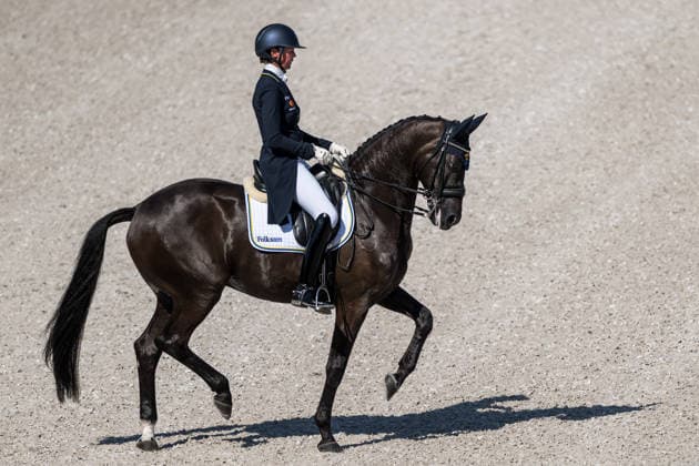 260814 Maria von Essen of Sweden with horse Invoice compete in the Dressage Grand Prix Special during day 4 of the 2026 FEI World Championships on August 14, 2026 in Aachen. Photo: Emma Wallskog BILDBYRAN kod EW EW0682 ridsport equestrian rid-vm 2026 2026 fei world championships bbeng ridsport-vm dressage dressyr sweden sverige *** August 14, 2026: Maria von Essen of Sweden, riding Invoice, competes in the Dressage Grand Prix Special on Day 4 of the 2026 FEI World Championships on August 14, 2026 in Aachen. Photo by Emma Wallskog, BILDBYRAN, code EW EW0682. equestrian sports, 2026 World Championships, 2026 FEI World Championships, BBENG, equestrian sports, World Championships, dressage, Sweden  Copyright: EMMAxWALLSKOG BB260814EW032