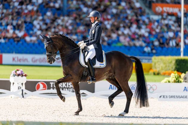 AACHEN - FEI World Championships 2026, AACHEN - FEI World Championships 2026 VON ESSEN Maria (SWE), Invoice FEI Dressage World Championship, WM, Weltmeisterschaft Grand Prix Special Individual Meggle Prize Aachen, Reitstadion Soers 14. August 2026 - *** AACHEN FEI World Championships 2026, AACHEN FEI World Championships 2026 BY ESSEN Maria SWE, Invoice FEI Dressage World Championship Grand Prix Special Individual Meggle Prize Aachen, Soers Equestrian Stadium, August 14, 2026