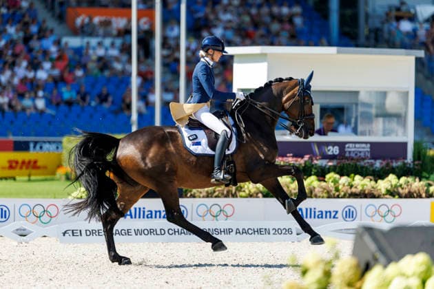 AACHEN - FEI World Championships 2026, AACHEN - FEI World Championships 2026 PEARCE Simone (AUS), Will Marq FEI Dressage World Championship, WM, Weltmeisterschaft Grand Prix Special Individual Meggle Prize Aachen, Reitstadion Soers 14. August 2026 - *** AACHEN FEI World Championships 2026, AACHEN FEI World Championships 2026 PEARCE Simone AUS, Will Marq FEI Dressage World Championship Grand Prix Special Individual Meggle Prize Aachen, Soers Equestrian Stadium, August 14, 2026