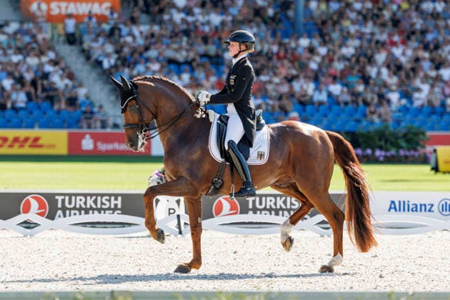 AACHEN - FEI World Championships 2026, AACHEN - FEI World Championships 2026 HEMMER Katharina (GER), Denoix PCH FEI Dressage World Championship, WM, Weltmeisterschaft Grand Prix Special Individual Meggle Prize Aachen, Reitstadion Soers 14. August 2026 - *** AACHEN FEI World Championships 2026, AACHEN FEI World Championships 2026 HEMMER Katharina GER, Denoix PCH FEI Dressage World Championship Grand Prix Special Individual Meggle Prize Aachen, Soers Equestrian Stadium, August 14, 2026