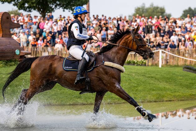 260815 Sofia Sjöborg of Sweden with horse Bryjamolga van het Marienshof compete in the Eventing Cross-Country during day 5 of the 2026 FEI World Championships on August 15, 2026 in Aachen. Photo: Emma Wallskog BILDBYRAN kod EW EW0685 ridsport equestrian rid-vm 2026 2026 fei world championships bbeng ridsport-vm fälttävlan eventing terrängritt terräng sweden sverige *** August 15, 2026: Sofia Sjöborg of Sweden, riding Bryjamolga van het Marienshof, competes in the Eventing Cross Country on Day 5 of the 2026 FEI World Championships in Aachen. 2026 in Aachen. Photo by Emma Wallskog, BILDBYRAN, code EW EW0685. equestrian sports, riding, 2026 World Championships, 2026 FEI World Championships, BBENG, equestrian sports, World Championships, eventing, cross-country, Sweden  Copyright: EMMAxWALLSKOG BB260815EW018