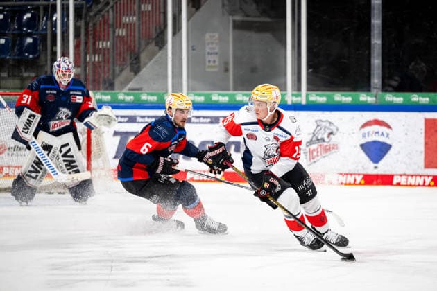16.08.2026 - Eishockey - Saison 2026 2027 - Penny DEL - Public Practice der Nürnberg Ice Tigers Icetigers - ThHa - xthxhax - Nikolaus Heigl (15, Nürnberg Ice Tigers, NIT ) Julius Karrer (6, Nürnberg Ice Tigers, NIT ) *** August 16, 2026, 2026–2027 Ice Hockey Season, Penny DEL, Nuremberg Ice Tigers Public Practice, Icetigers ThHa xthxhax, Nikolaus Heigl 15, Nuremberg Ice Tigers, NIT, Julius Karrer 6, Nuremberg Ice Tigers, NIT