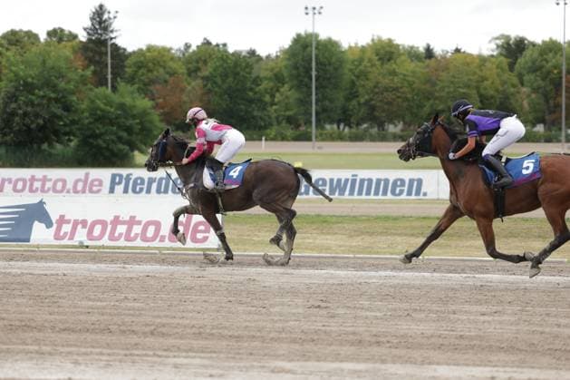 Zwei Pferde und ihre Jockeys im Galopp auf der Sandbahn der Rennbahn Berlin Mariendorf, Pferd 4 liegt knapp vor Pferd 5. Im Hintergrund ist die Werbebande von trotto.de zu sehen. Jockey ( 4) führt Rennen auf der Rennbahn Berlin Mariendorf *** Two horses and their jockeys galloping on the sand track at the Berlin Mariendorf Racetrack; Horse 4 is just ahead of Horse 5. In the background, the trotto de advertising banner is visible. Jockey 4 is leading the race at the Berlin Mariendorf Racetrack. Copyright: xspeedshotx