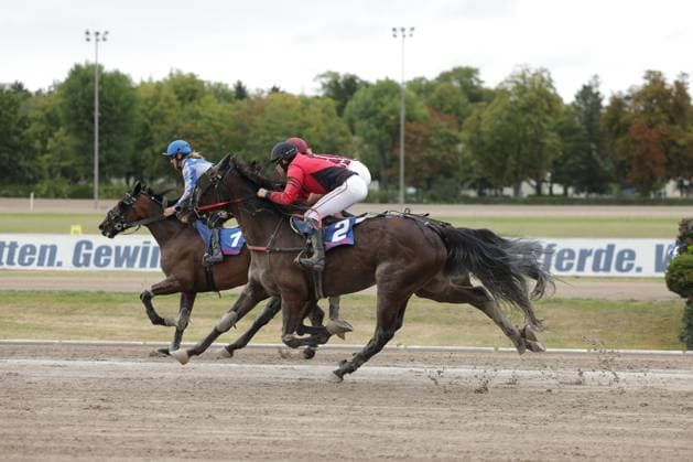 Zwei Jockeys liefern sich ein enges Duell auf der Sandbahn der Rennbahn Berlin Mariendorf, Pferd 2 liegt knapp vor Pferd 1. Die Hufe wirbeln Sand auf, während beide Pferde in vollem Galopp die Zielgerade passieren. Pferd 2 führt Kopf-an-Kopf-Rennen auf der Rennbahn Berlin Mariendorf *** Two jockeys are locked in a close battle on the dirt track at the Berlin Mariendorf Racetrack; Horse 2 is just ahead of Horse 1. Their hooves kick up dust as both horses gallop down the home stretch. Horse 2 is in a neck-and-neck race at the Berlin Mariendorf Racetrack. Copyright: xspeedshotx