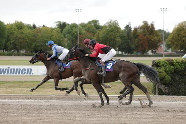 Zwei Jockeys liefern sich auf der Sandbahn der Rennbahn Berlin Mariendorf ein enges Duell, Pferd Nr. 2 im roten Dress liegt knapp vor Nr. 1 in Weiß-Blau. Aufgewirbelter Sand unter den Hufen unterstreicht das Tempo des Rennens. Kopf-an-Kopf-Rennen auf der Sandbahn in Mariendorf *** Two jockeys are locked in a close battle on the sand track at the Berlin Mariendorf Racetrack; Horse No. 2, in a red silks, is just ahead of No. 1 in white and blue. Sand kicked up by the hooves underscores the pace of the race—a neck-and-neck race on the sand track in Mariendorf. Copyright: xspeedshotx