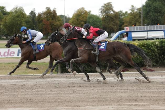 Drei Pferde mit Jockeys kämpfen auf der Sandbahn der Rennbahn Berlin Mariendorf um die Führung, Startnummer 2 liegt knapp vorne. Aufgewirbelter Sand unter den Hufen unterstreicht das hohe Tempo des Rennens. Pferderennen auf der Rennbahn Berlin Mariendorf – Startnummer 2 führt das Feld an *** Three horses with jockeys are battling for the lead on the sand track at the Berlin Mariendorf Racetrack; horse No. 2 is just ahead. Sand kicked up by their hooves underscores the race’s fast pace. Horse race at the Berlin Mariendorf Racetrack—horse No. 2 is leading the field. Copyright: xspeedshotx