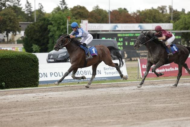 Zwei Jockeys liefern sich ein enges Rennen auf der Sandbahn der Rennbahn Berlin Mariendorf, Pferd 7 liegt knapp in Führung vor 8. Beide Pferde galoppieren in vollem Tempo auf der Zielgeraden. Jockey ( 7) führt auf der Zielgeraden in Mariendorf *** Two jockeys are locked in a close race on the dirt track at the Berlin Mariendorf Racetrack; Horse 7 holds a narrow lead over Horse 8. Both horses are galloping at full speed down the home stretch. Jockey 7 is in the lead on the home stretch in Mariendorf. Copyright: xspeedshotx