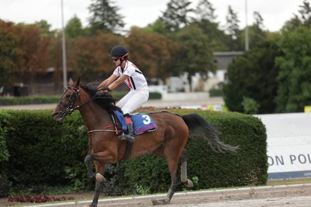 Eine Jockeyfahrerin mit weißem Dress und Helm reitet auf einem braunen Pferd mit der Startnummer 3 über die Sandbahn in Mariendorf. Das Pferd ist im Galopp, im Hintergrund sind die Hecken und Tribünenanlagen der Rennbahn zu sehen. Jockey mit Startnummer 3 auf der Rennbahn Berlin Mariendorf *** A female jockey in a white riding outfit and helmet is riding a bay horse with the number 3 across the dirt track in Mariendorf. The horse is galloping; in the background, the hedges and grandstands of the racetrack are visible. Jockey with the number 3 at the Berlin Mariendorf Racetrack Copyright: xspeedshotx