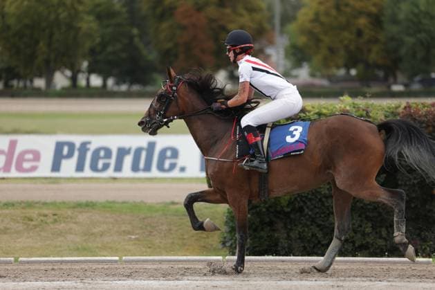 Eine Jockeyerin in weißer Rennkleidung und dunklem Helm reitet Pferd Nummer 3 in vollem Galopp über die Sandbahn der Rennbahn Berlin Mariendorf. Im Hintergrund ist die Werbebande mit dem Schriftzug Pferde. gut sichtbar. Jockey auf Startnummer 3 im Galopp auf der Rennbahn Mariendorf *** A female jockey in white racing attire and a dark helmet rides horse number 3 at full gallop across the sand track at the Berlin Mariendorf Racetrack. In the background, the advertising banner with the words Pferde is clearly visible. The jockey on horse number 3 is galloping at the Mariendorf Racetrack. Copyright: xspeedshotx
