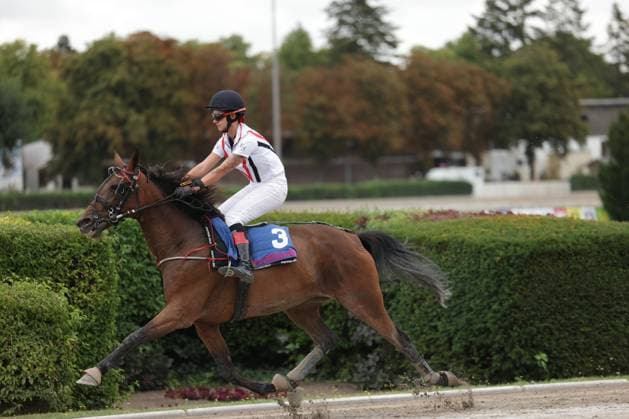 Eine Jockeyfahrerin reitet auf einem Braunen mit der Startnummer 3 in vollem Galopp entlang der Hecke der Rennbahn Berlin Mariendorf. Das Pferd wirft beim Abgalopp Erde auf, der Hintergrund zeigt herbstlich gefärbte Bäume. Jockey ( 3) im Galopp auf der Rennbahn Berlin Mariendorf *** A female jockey rides a bay horse with the number 3 in full gallop along the hedge at the Berlin Mariendorf Racetrack. The horse kicks up dirt as it gallops; the background shows trees in their fall colors. Jockey 3 galloping at the Berlin Mariendorf Racetrack Copyright: xspeedshotx