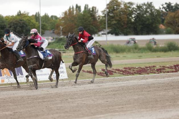 Drei Jockeys liefern sich ein enges Rennen auf der Sandbahn in Berlin Mariendorf, Pferd 2 führt das Feld an. Aufgewirbelter Sand und die dynamische Galoppaktion unterstreichen die Intensität des Rennens. Galopprennen auf der Rennbahn Berlin Mariendorf – Pferd 2 in Führung *** Three jockeys are locked in a close race on the dirt track at Berlin Mariendorf; Horse 2 leads the field. Swirling dirt and the dynamic gallop underscore the intensity of the race. Horse race at the Berlin Mariendorf Racetrack—Horse 2 in the lead Copyright: xspeedshotx