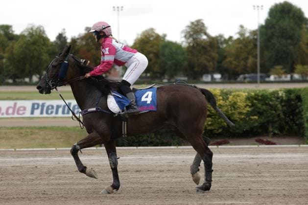 Eine Jockeyein in pink-weißer Ausrüstung reitet auf einem dunkelbraunen Pferd mit der Startnummer 4 über die Sandbahn der Rennbahn Berlin Mariendorf. Das Pferd ist im vollen Galopp, im Hintergrund sind Banden mit Werbung sowie Bäume sichtbar. Jockey auf Pferd 4 im Galopp auf der Rennbahn Mariendorf *** A jockey in pink and white riding gear is riding a dark brown horse with the number 4 on the sand track at the Berlin Mariendorf Racetrack. The horse is at a full gallop; advertising billboards and trees are visible in the background. Jockey on horse No. 4 galloping at the Mariendorf Racetrack Copyright: xspeedshotx