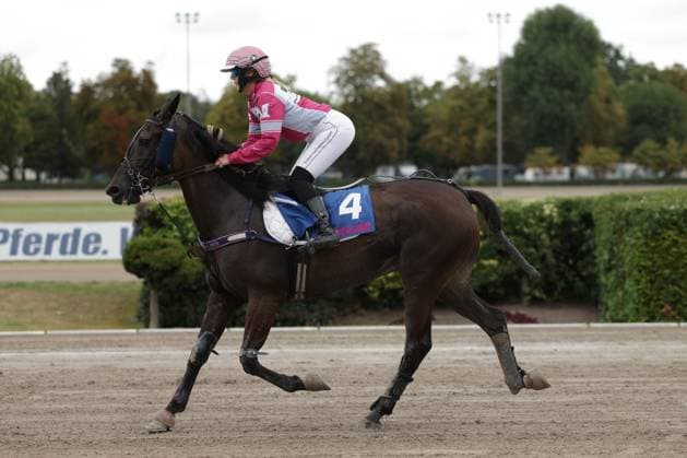 Eine Jockeyrin in pink-weißer Silks reitet Pferd Nummer 4 im Galopp über die Sandbahn der Rennbahn Berlin Mariendorf. Das Pferd trägt eine blaue Satteldecke mit der Startnummer 4. Jockey mit Startnummer 4 galoppiert auf der Rennbahn Mariendorf *** A female jockey in pink and white silks rides horse number 4 at a gallop across the sand track at the Berlin Mariendorf Racetrack. The horse is wearing a blue saddle blanket with the number 4. The jockey with the number 4 gallops around the Mariendorf Racetrack. Copyright: xspeedshotx