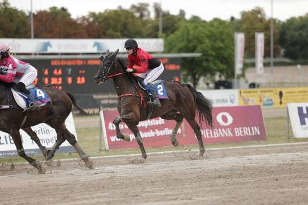 Auf der Sandbahn der Rennbahn Berlin Mariendorf galoppiert Pferd 2 mit seinem Jockey im roten Dress an der Spitze. Links im Bild drängt Pferd 4 mit einem Jockey in Pink-Weiß heran. Jockey auf Pferd 2 führt das Rennen in Mariendorf *** On the dirt track at the Berlin Mariendorf Racetrack, Horse 2, with its jockey in a red outfit, is galloping in the lead. On the left side of the picture, Horse 4, with a jockey in pink and white, is closing in. The jockey on Horse 2 is leading the race in Mariendorf. Copyright: xspeedshotx