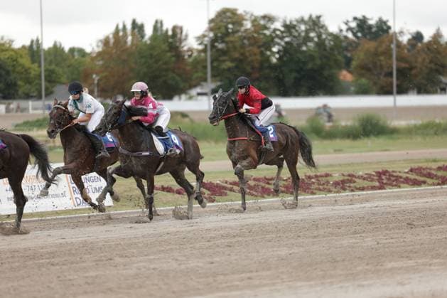 Drei Jockeys liefern sich ein enges Rennen auf der Sandbahn in Mariendorf, aufgewirbelter Sand fliegt unter den Hufen der Pferde. Pferd Nummer 2 führt leicht vor dem dicht gedrängten Feld. Drei Jockeys im Galopp auf der Rennbahn Berlin Mariendorf *** Three jockeys are locked in a close race on the sand track in Mariendorf; sand swirls up beneath the horses hooves. Horse number 2 is slightly ahead of the tightly packed field. Three jockeys galloping on the Berlin Mariendorf racetrack. Copyright: xspeedshotx