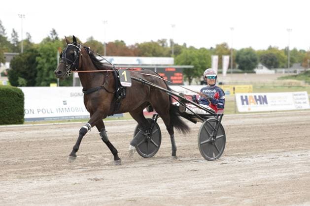 Ein dunkelbraunes Traber-Pferd mit der Startnummer 1 und trotto.de-Sponsoring zieht einen Sulky mit Fahrer über die Sandbahn der Rennbahn Berlin Mariendorf. Der Fahrer in blau-weißem Dress lächelt in die Kamera. Startnummer 1 im Trabrennen auf der Rennbahn Berlin Mariendorf *** A dark brown trotter with start number 1 and Trotto de Sponsoring on its side pulls a sulky with a driver across the sand track at the Berlin Mariendorf Racetrack. The driver, wearing a blue-and-white outfit, smiles at the camera. Start number 1 in the trotting race at the Berlin Mariendorf Racetrack. Copyright: xspeedshotx