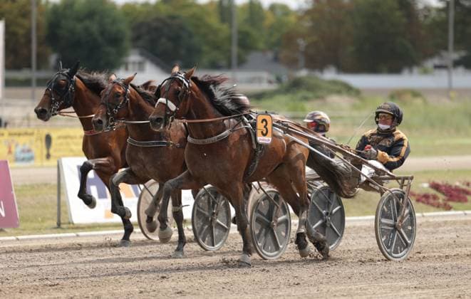 Equestrian sports, race day in Berlin-Mariendorf